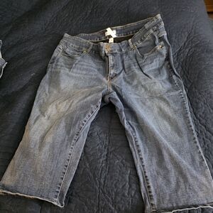 Lane Bryant Blue Ankle Jeans